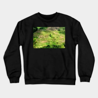 Rizières en terrasses Banaue, Philippines Crewneck Sweatshirt